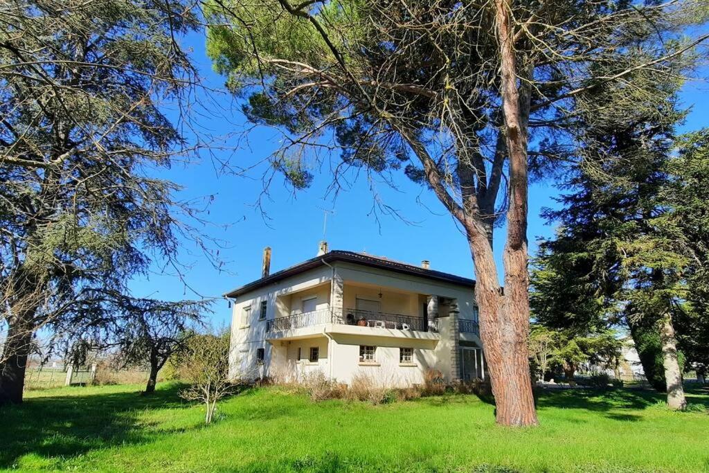 La Maison De Lili Colayrac-Saint-Cirq Eksteriør billede